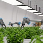 Smart-Farming-in-Greenhouse-2.jpg