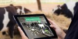 livestock-digitize.jpg